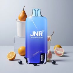 Boruvkový ľad JNR Rainbow 10500 Puffs 18ml nádrž na e-kvapalinu veľkoobchod Slovensko