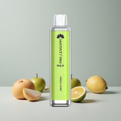 Čerstvá Mäta Hayati Pro Max 4000 Puffs Dobíjateľná Batéria a 10ml Auto Dopĺňanie veľkoobchod Slovensko