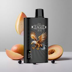 Čierna ríbezľa Mangový ľad JNR EAGLE Smart 23000 Puffs Digitálny displej Nastaviteľný prietok vzduchu veľkoobchod Slovensko