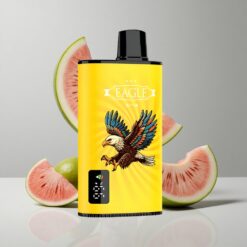 Kiwi Melónový Ľad JNR EAGLE Smart 23000 Puffs Digitálny Displej Nastaviteľný Prietok Vzduchu veľkoobchod Slovensko