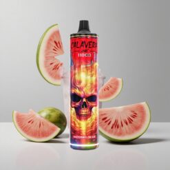 Melónový ľad JNR Calavera 11000 Puffs Typ-C 21ml veľkoobchod Slovensko