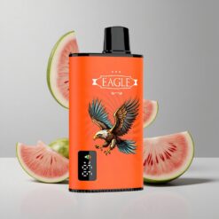 Melónový ľad JNR EAGLE Smart 23000 Puffs Jednorazové Vape Digitálny Displej Typ-C veľkoobchod Slovensko